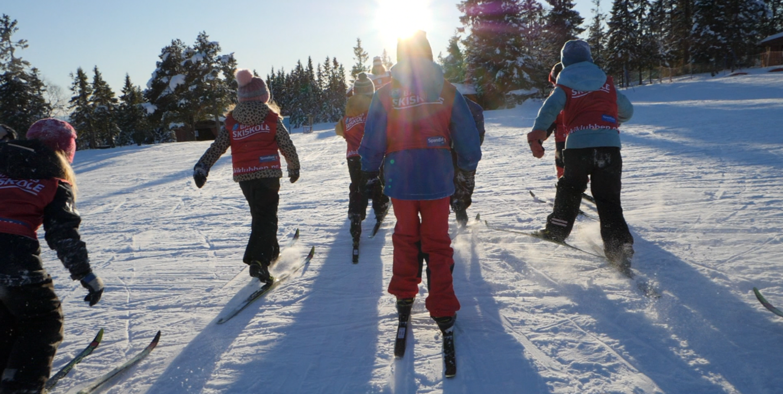 Ca260ca6 4E0b 4951 Acd7 9Aed2cf8fa83