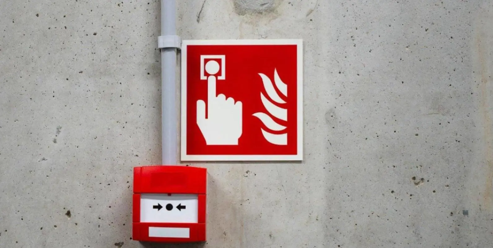 Aad443e2 4Fe9 49F6 9E8b D9ea0571ad1a 1769685388