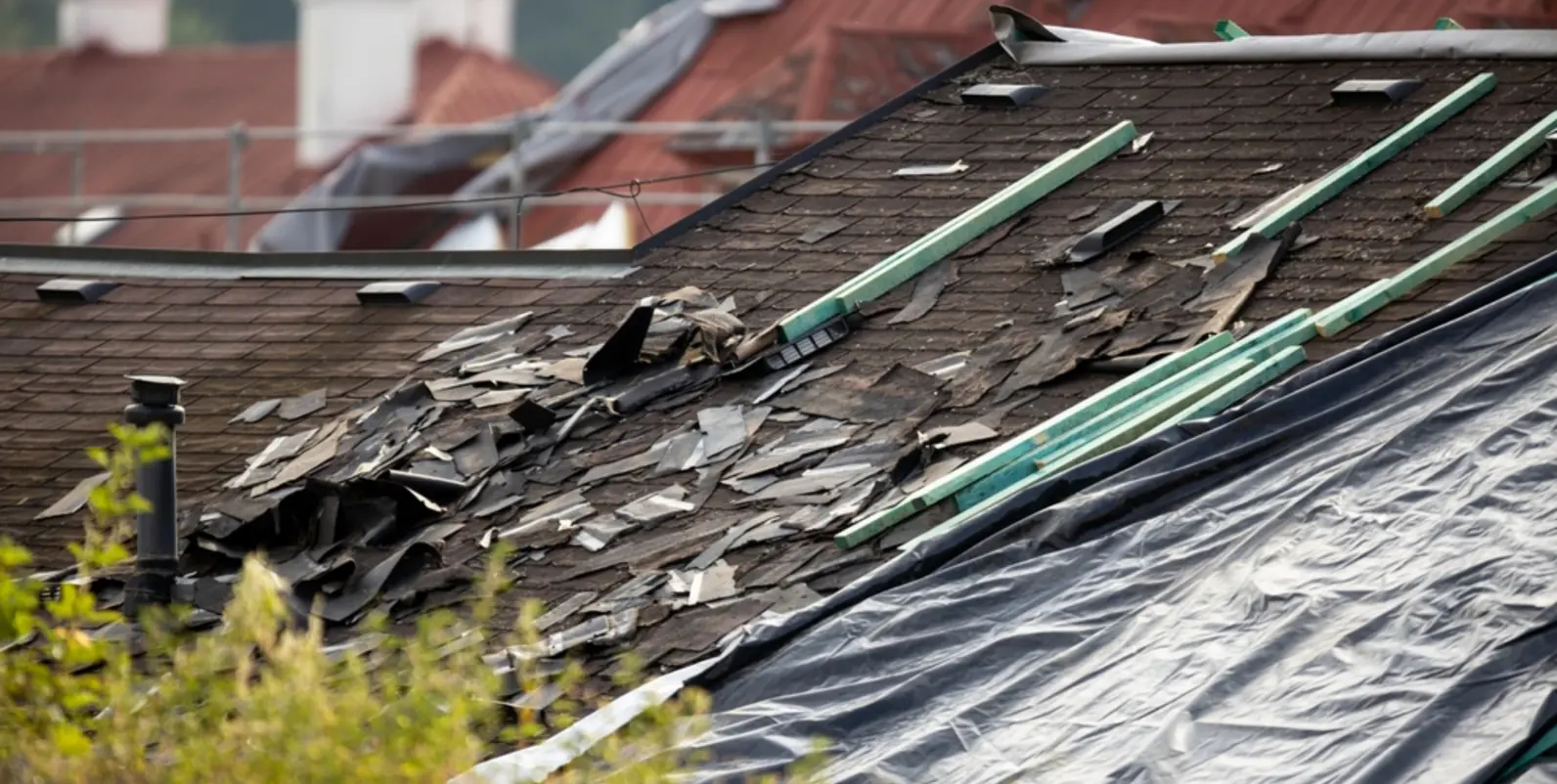 Forsikring Tak High Quality